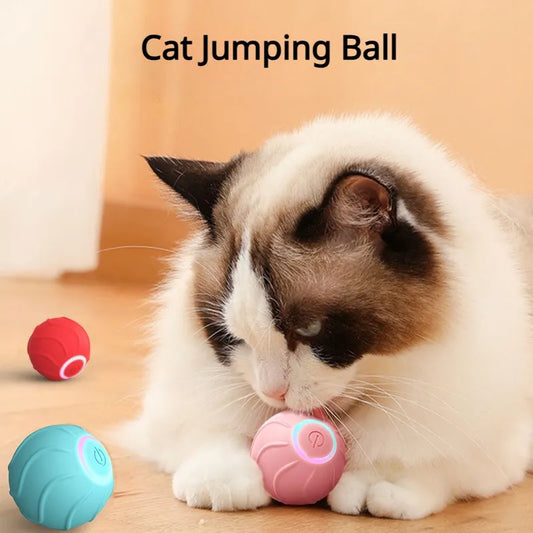 Smart Cat Toys Rolling Ball Pet Cat